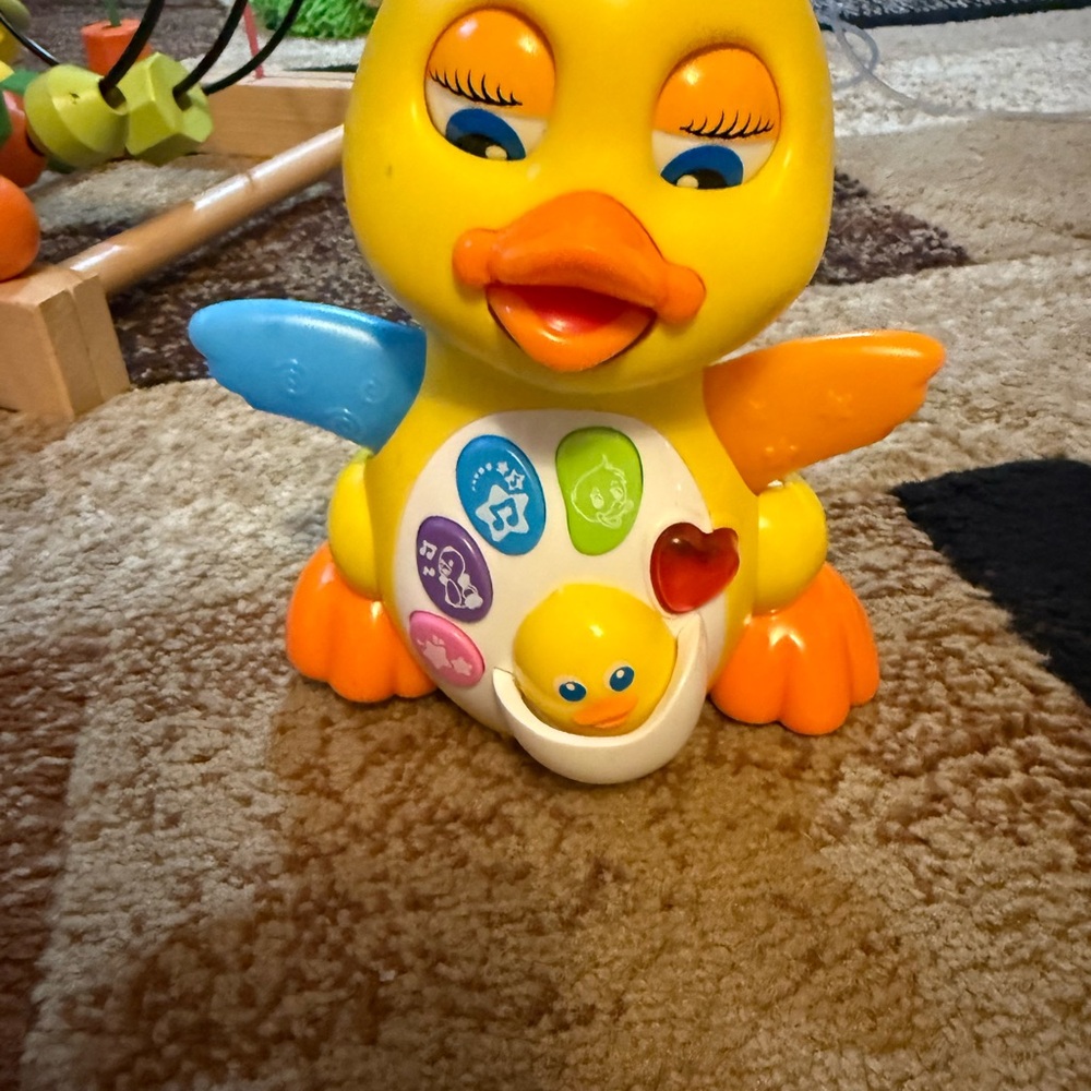 Fisher-Price Colorful Duck Learning Toy